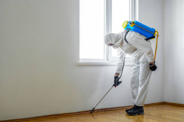 Best Flea Control Services  in Cypress Quarters, FL
