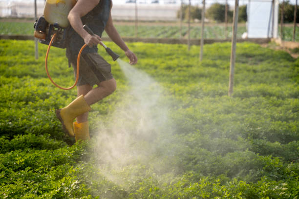 Best Affordable Pest Control Services  in Cypress Quarters, FL