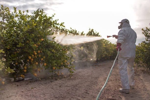 Cypress Quarters, FL Pest Control Company
