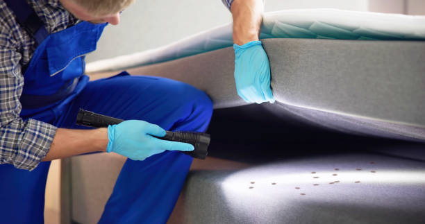 Flea Control Services in Cypress Quarters, FL
