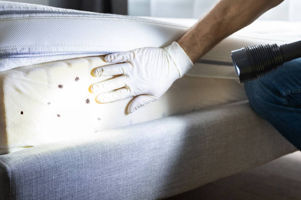 Best Pest Prevention Services  in Cypress Quarters, FL