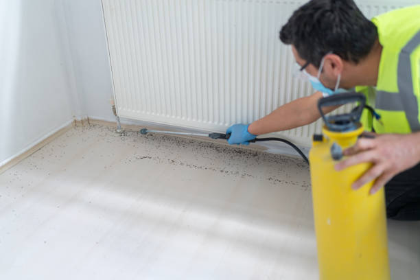 Best Mosquito Control Services  in Cypress Quarters, FL