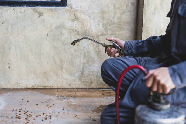 Best Residential Pest Control  in Cypress Quarters, FL